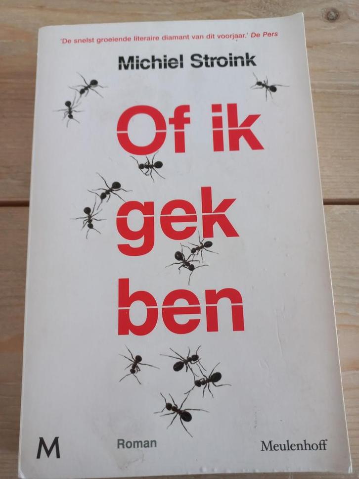Of ik gek ben - Michiel Stroink (2012), Boeken, Romans, Ophalen of Verzenden