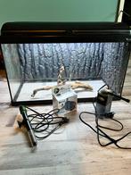 Aquarium 60cm, Dieren en Toebehoren, Ophalen of Verzenden, Zo goed als nieuw, Leeg aquarium