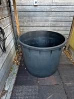 Grote Kunststof Regenton - 150+ Liter, Tuin en Terras, Regentonnen, 150 liter of meer, Ophalen, Gebruikt, Kunststof