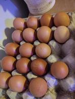 Verse, nieuwe biologische eieren..eigen gefokte kippen.., Dieren en Toebehoren, Pluimvee, Mannelijk, Kip