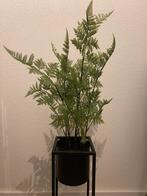Mooie (kunst)Nephrolepis varen in pot, Ophalen, Nieuw, Binnen
