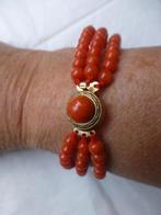 3-rij Bloedkoraal Armband met mooi Slot grote Bloedkoraal, Verzenden, Overige materialen, Armband, Verguld