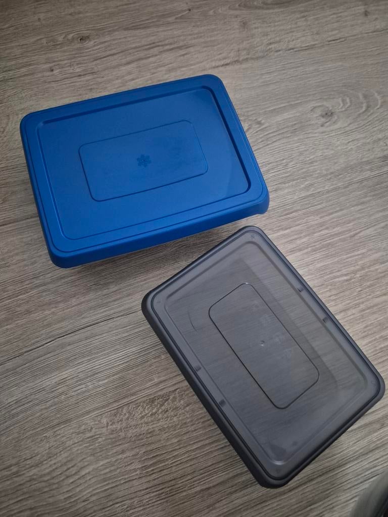 Plastic bakken, Ophalen of Verzenden, Zo goed als nieuw, Overige typen