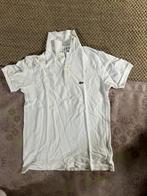 Lacoste-Stone Island-Boss-Tommy Hilfiger, Kinderen en Baby's, Kinderkleding | Maat 164, Ophalen of Verzenden, Zo goed als nieuw