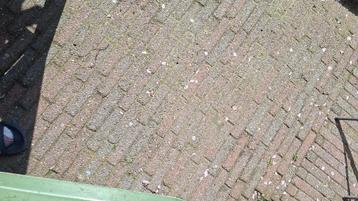 Bestrating beschikbaar voor biedingen