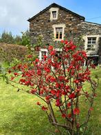 Idyllische cottage in Galicië, Verkoop zonder makelaar, Spanje, Landelijk, 4 kamers