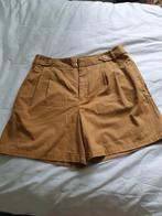 Scotch & Soda. K. Broek  mt 40/ 42.kl. bruin., Maat 38/40 (M), Nieuw, Scotch & Soda, Ophalen of Verzenden