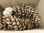 12 grote natuurlijke LANGE DENNENAPPELS 13 - 22 cm ( D), Hobby en Vrije tijd, Knutselen, Ophalen of Verzenden, Nieuw, Materiaal
