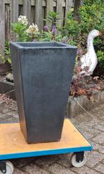 Zware terracotta plantenbak
Hoogte 57 cm, Tuin en Terras, Ophalen, Steen, Gebruikt, Minder dan 60 cm