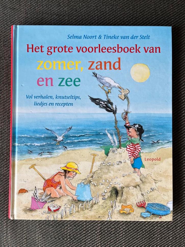 Selma Noort - Het grote voorleesboek van Zomer, zand en zee., Boeken, Kinderboeken | Kleuters, Zo goed als nieuw, Fictie algemeen