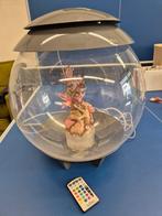 Biorb Halo 30L Aquarium met alle toebehoren, Dieren en Toebehoren, Vissen | Aquaria en Toebehoren, Ophalen, Zo goed als nieuw