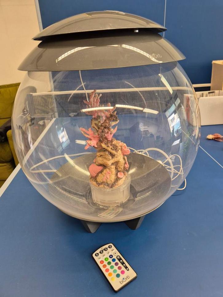 Biorb Halo 30L Aquarium met alle toebehoren, Dieren en Toebehoren, Vissen | Aquaria en Toebehoren, Zo goed als nieuw, Leeg aquarium
