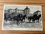 Ansichtkaart Noordwijk aan Zee, reddingsboot, paarden, Zuid-Holland, Ophalen of Verzenden