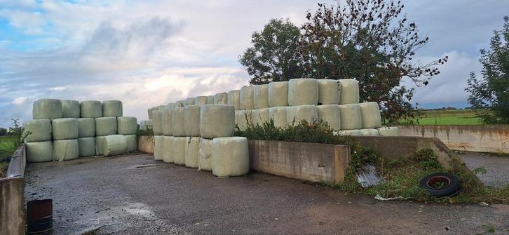 3e snee voordroog hooi balen, Dieren en Toebehoren, Dierenvoeding, Vee, Ophalen of Verzenden