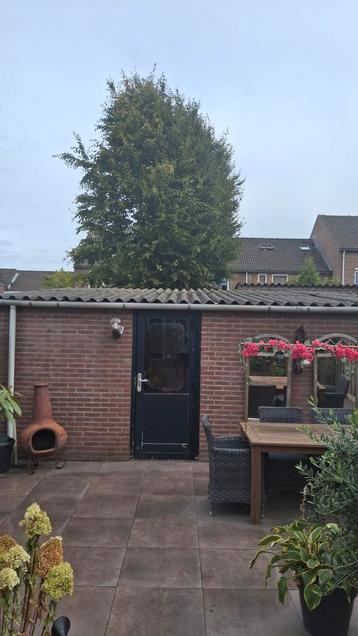 Golfplaten Vezelcement (Asbestvrij) - 12 stuks beschikbaar voor biedingen