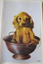 Klepjes kaart met spaniël pup in vergiet - 1983 - nieuw, Verzenden, 1980 tot heden, Ongelopen, Hond of Kat