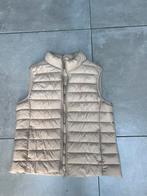 PRIMARK BEIGE NIEUW GEWATTEERDE BODYWARMER MAAT M, Kleding | Dames, Bodywarmers, Primark, Ophalen of Verzenden, Nieuw, Beige
