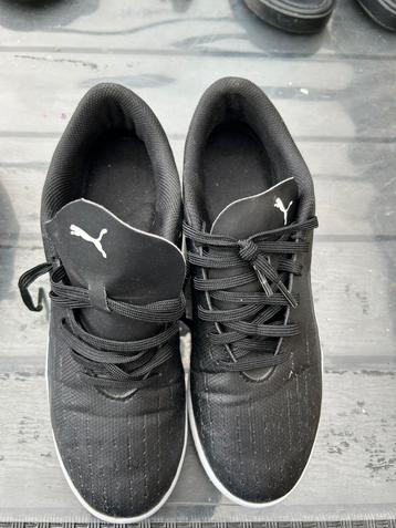 Puma zaalschoenen maat 41 beschikbaar voor biedingen