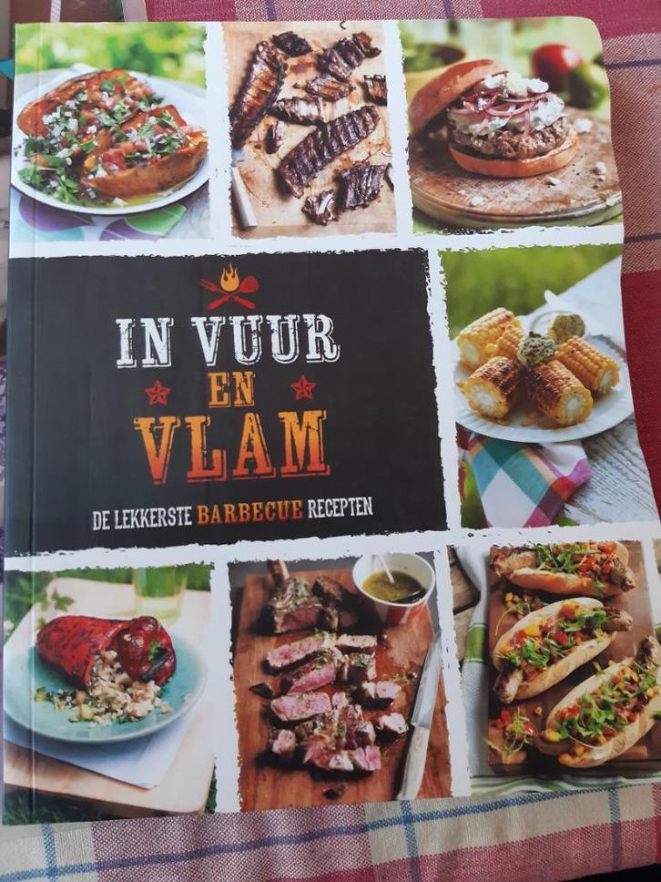 Lincoln jefferson:in vuur en vlam.bbq, Boeken, Kookboeken, Gelezen, Ophalen