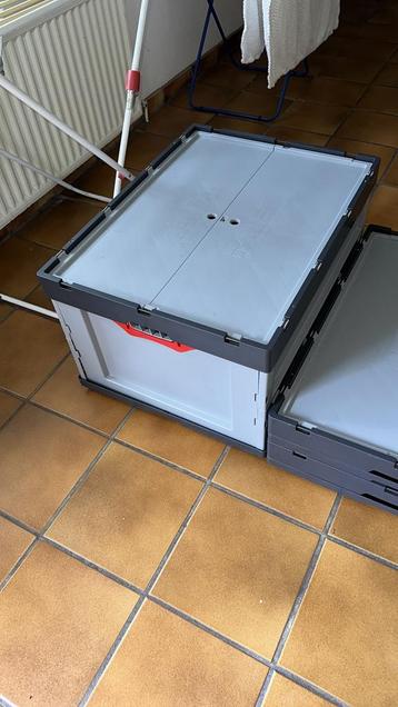 Auer vouwkrat 80x60x43,5 cm beschikbaar voor biedingen