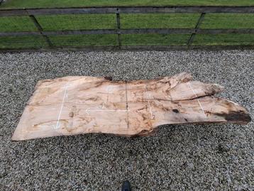 (Partij) beukenhout schaaldelen / tafelbladen (epoxy) beschikbaar voor biedingen