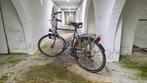 Raleigh Eagle 24 speed Shimano Nexave herenfiets, Fietsen en Brommers, Fietsen | Heren | Herenfietsen, Ophalen, Gebruikt, Overige merken