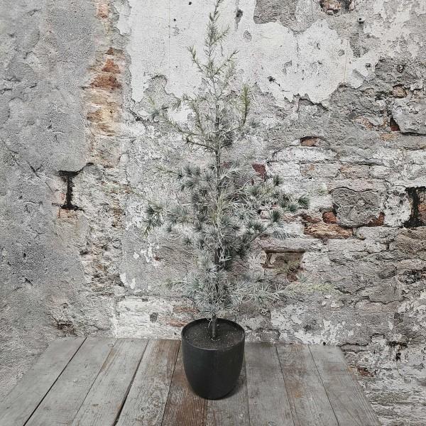 Sobere Kunst Denneboom “Pine” in pot, Diversen, Kerst, Nieuw, Ophalen of Verzenden