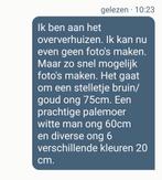 2 bruin gouden Koi karpers, Dieren en Toebehoren, Karper of Koi