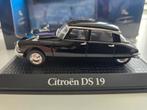 Citroen DS 19 presidentiele 1/43, Ophalen of Verzenden, Nieuw, Auto, Norev