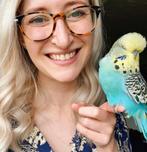 XL parkieten in diverse kleuren, Dieren en Toebehoren
