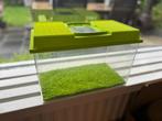 Terrarium incl. groene siersteentjes l 33 x b 17,5 x h 19, Ophalen, Gebruikt, Terrarium of Paludarium