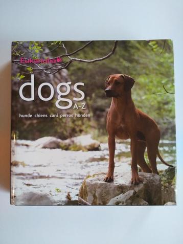 Dogs, hunde, chiens, perros, honden - Eukanuba beschikbaar voor biedingen