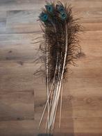 13 Mooie pauwenveren, Huis en Inrichting, Ophalen, Zo goed als nieuw