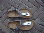 GRATIS VERZENDEN NIEUWE ZILVEREN GIZEH BIRKENSTOCKS MT 40, Kleding | Dames, Schoenen, Slippers, Overige kleuren, Verzenden, Nieuw