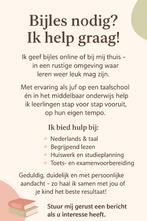 Ervaren bijles docent, Privéles, Bijles