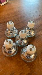 Calex halogeen 40 Watt lampjes met GU 10 fitting 5 stuks, 30 tot 60 watt, Halogeen (gloei)lamp, Nieuw, Ophalen of Verzenden