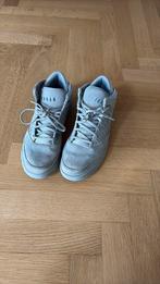 Air Jordan Jordan’s grijs sneakers heren maat 45, Overige kleuren, Ophalen of Verzenden, Sneakers of Gympen, Zo goed als nieuw