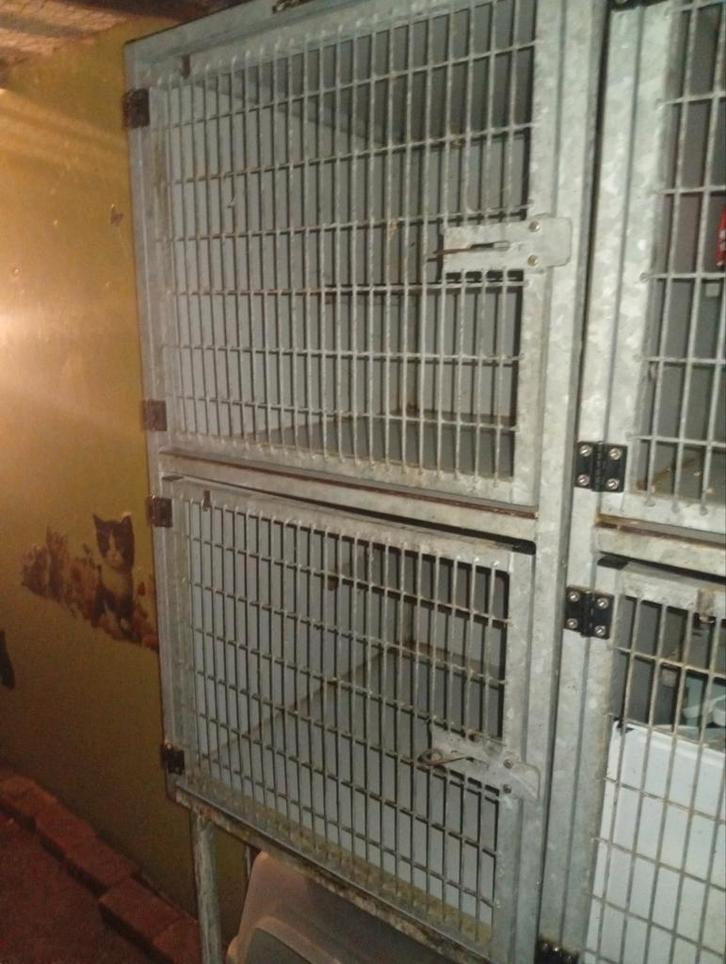 Kooien, Dieren en Toebehoren, Katten-accessoires, Ophalen