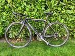 Willier Mortirolo Triestina, 28 inch, Carbon, 49 tot 53 cm, Zo goed als nieuw