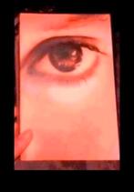 Voor ik ga slapen, Ophalen, Gelezen