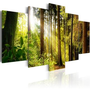 667 Bomen Bos Zonlicht 5 Luik Canvas Schilderij 200x100cm beschikbaar voor biedingen