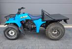 Yamaha Pro Hauler 250 quad atv, 1 cilinder, 12 t/m 35 kW