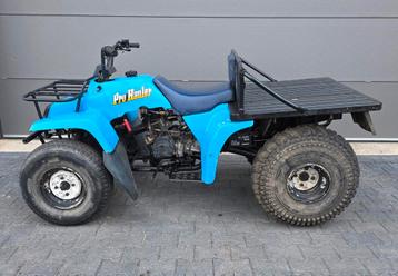 Yamaha Pro Hauler 250 quad atv  beschikbaar voor biedingen