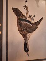 schilderij eend met echte veren, Antiek en Kunst, Kunst | Schilderijen | Klassiek, Ophalen of Verzenden