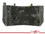 RADIATEUR Honda CBR 600 F 1995-1998 (CBR600F CBR600F3 PC31), Motoren, Onderdelen | Honda, Gebruikt