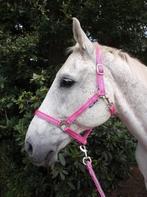 Roze Horka halster kleur anemone maat pony, Nieuw, Ophalen of Verzenden, Info@horka.com, Ampèrestraat 15-17 8013 PT Zwolle