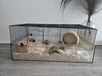 Hamster kooi, Dieren en Toebehoren, Minder dan 60 cm, Kooi, Minder dan 75 cm, Ophalen of Verzenden