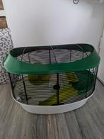Hamster muizen kooi verblijf ovaal groen compleet, Minder dan 60 cm, Kooi, Minder dan 75 cm, Ophalen of Verzenden