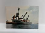 Ansichtkaart m.v. Nedlloyd Clarence, Verzamelen, Scheepvaart, Ophalen of Verzenden, Nieuw, Motorboot, Kaart, Foto of Prent