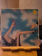 Lp: the babys - head first, Ophalen of Verzenden, 1960 tot 1980, Gebruikt, 12 inch